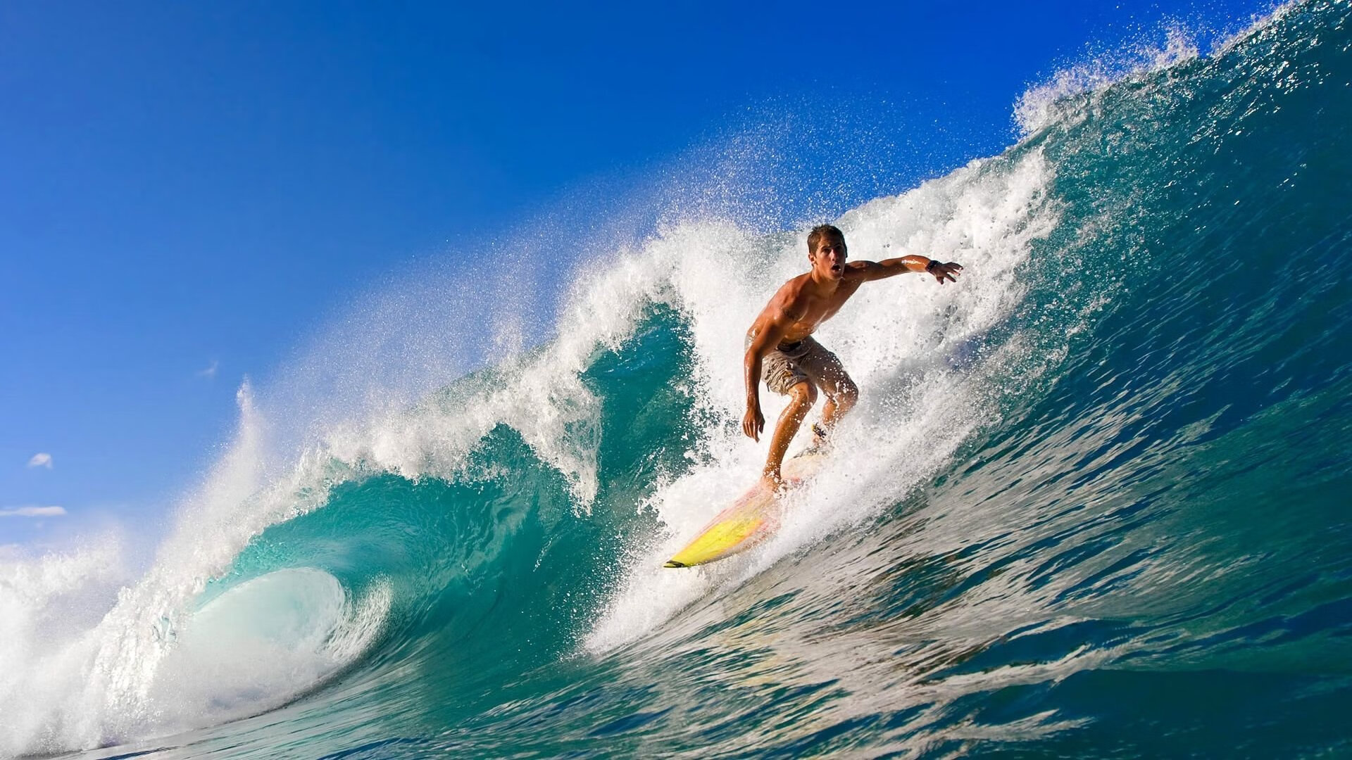 澳大利亚袋鼠队的复兴之路能否终结南非和新西兰的统治，袋鼠攻打澳大利亚